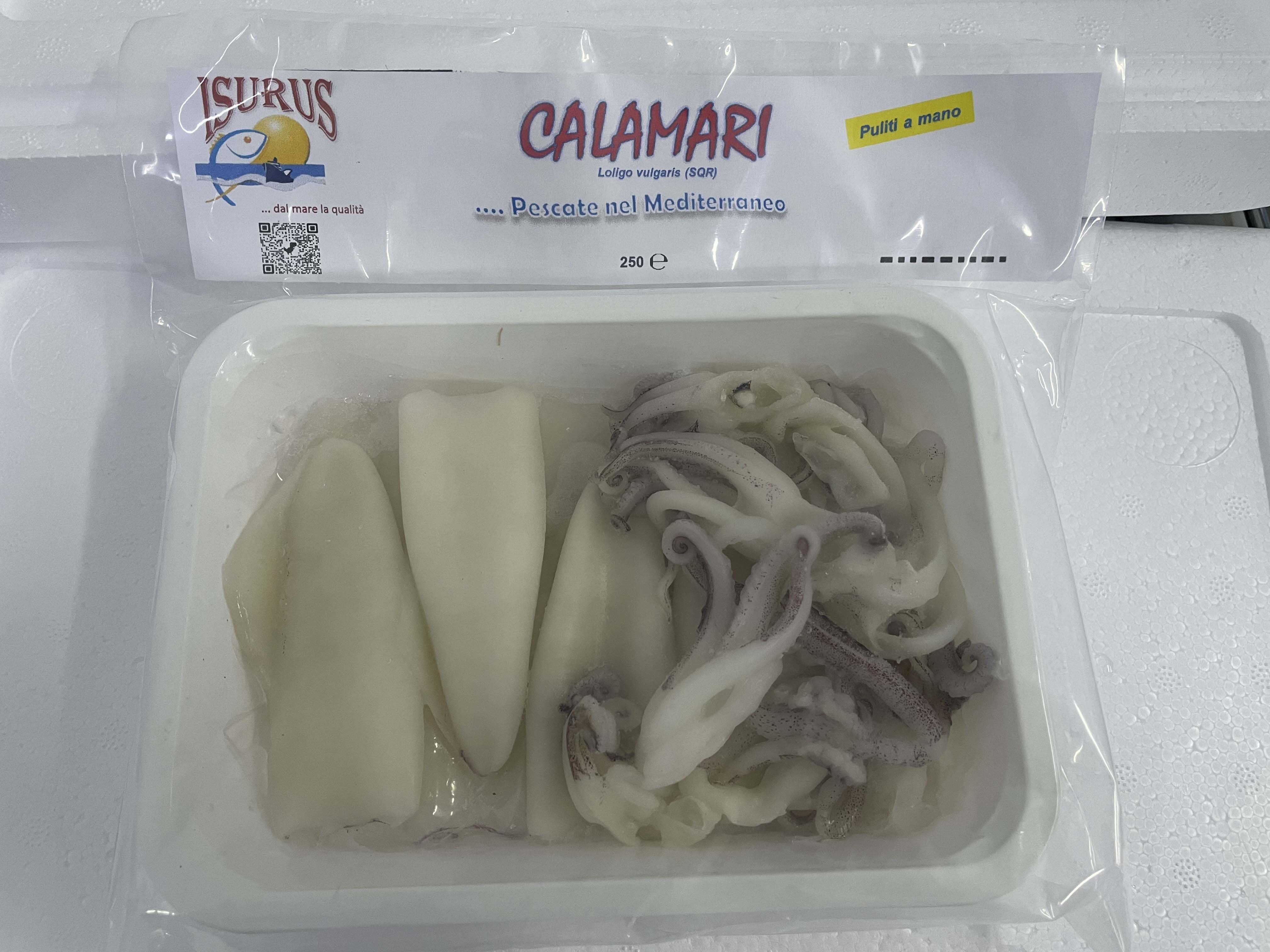 1_Calamari