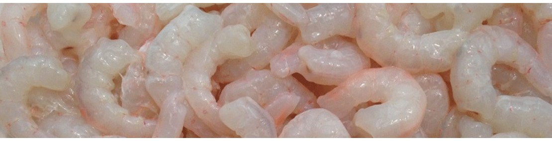 Shelled tails of Mediterranean Pink Shrimp